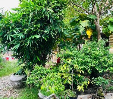 Hue Apartment | Tati Homestay