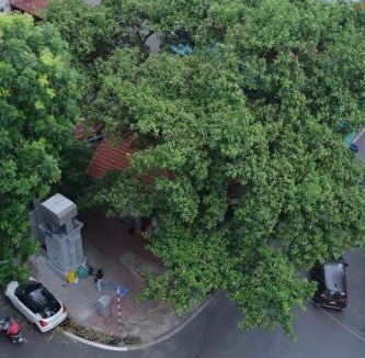 Ba Dinh Hotel | GRAND SOL LUXURY BOUTIQUE Hotel