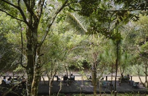 Bao Loc Other | Rừng Cafe & Glamping
