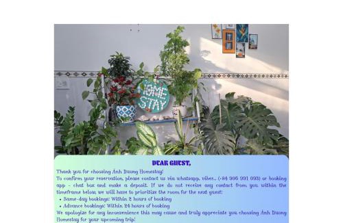 Quy Nhon Hotel | Ánh Dương Homestay - Coastal stop - Just 2 mins walking to Eo Gio