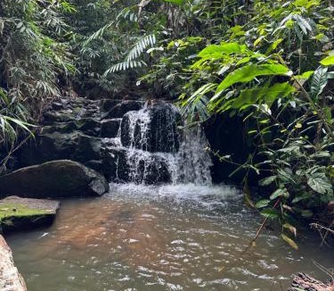 Sado Phong House | ธารน้ำ รีสอร์ท เขาค้อ