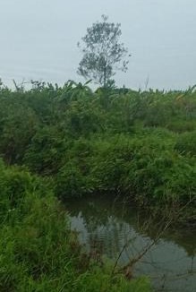 Phu Cu Other | Trại luân