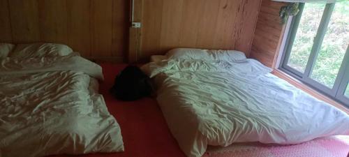Nam Cang House | homstay Tả Mẩy Nậm Cang