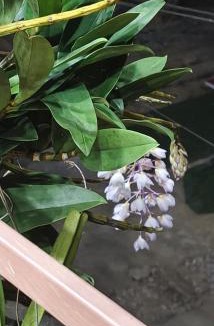 Trung Khanh House | A THÁM homestay