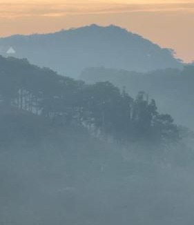 Da Lat Cabin | Family & Friends Homestay Đà Lạt