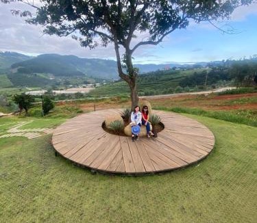 Lam Ha Apartment | Caribe Homestay