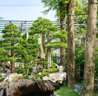 Huong Thuy Hotel | An Bình Garden