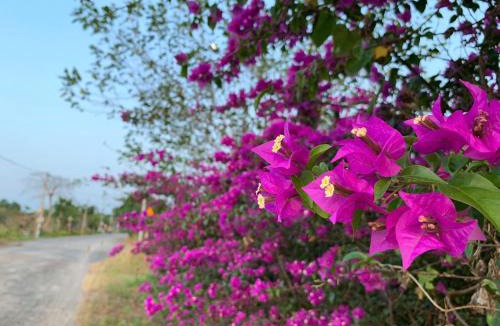 Loc An House | Tây An Homestay