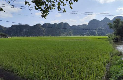 Hoa Lu Hotel | Heartfelt Cafe & Homestay