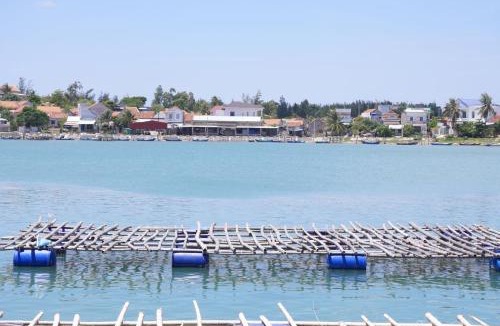 Dong Hoa Hostel | Phu Yen Beachfront Fishing Village Homestay