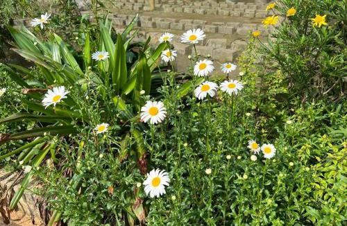Sa Pa Bed & Breakfast | Happy Farmstay Sapa
