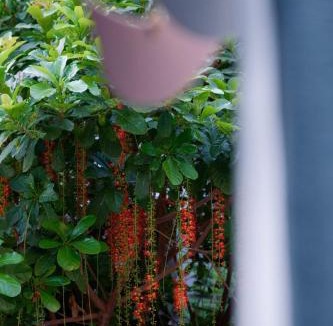 Quy Nhon House | Ruhome - Homestay trung tâm Quy Nhơn gần biển