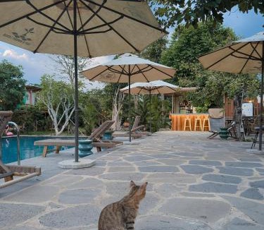 Quan Tom Cabin | Nam garden lodge