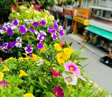 District 1 Hotel | Son Tung Hotel - De Tham Street