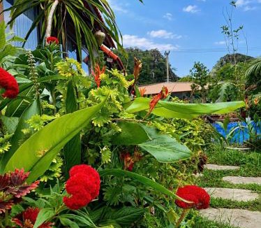 Hoa Lu Resort | Trang An Green Retreat