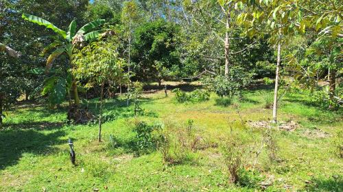 Thep Kasattri Resort | Meesaeng Homestay
