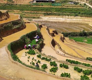 Mu Cang Chai House | Mu Cang Chai Terrace View Bungalows