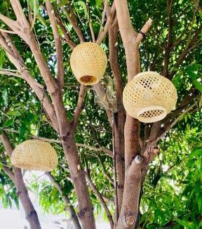 Vinh Hy House | Homestay QUỐC ANH - Vĩnh Hy