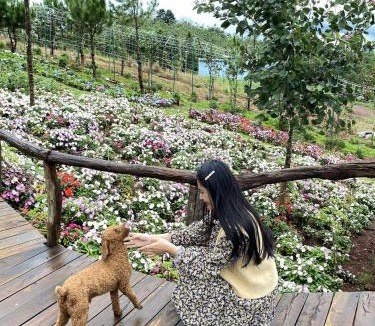Dak Glong Resort | Lake Hill Farm Tà Đùng
