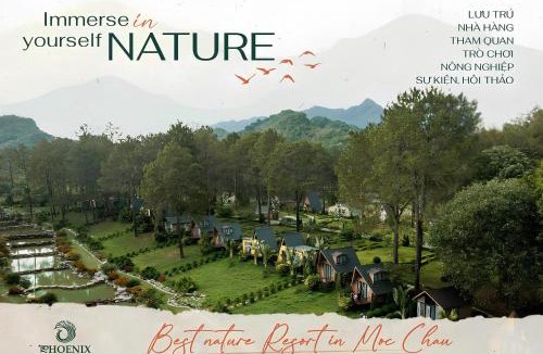 Moc Chau Hotel | Phoenix Mộc Châu Resort