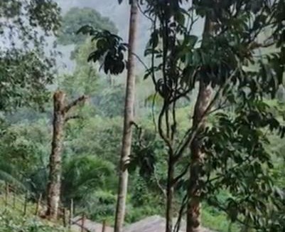 Khuan Don Other | Kuling Camping