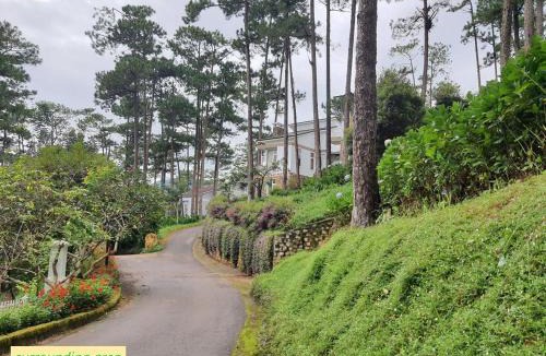 Da Lat Villa | Luxury villas Tuyen lam lake view