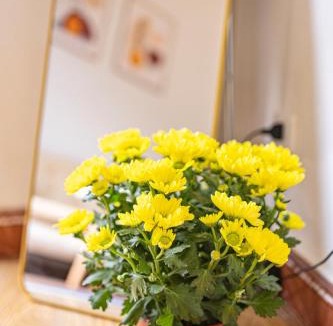 Hang Bo Apartment | Sunny Balcony Room in Old Quarter with Netflix and Free Laundry