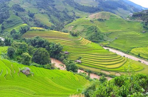 Mu Cang Chai House | Homestay Ngọc Thủy điểm dừng chân lên Đồi mâm xôi, xã Púng Luông, tỉnh Lào Cai
