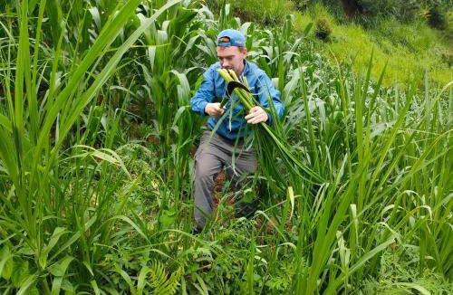 Mu Cang Chai Cabin | Mu Cang Chai Hostel