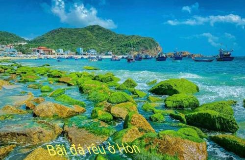 Quy Nhon Apartment | FLC SEA TOWER - 4 SEASONS Apartment