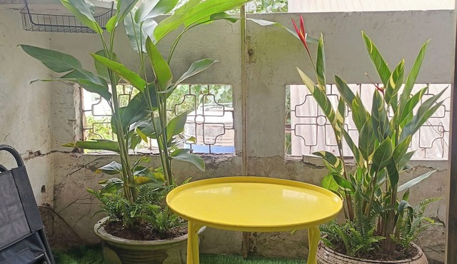 Viet Vintage Hostel & Pub