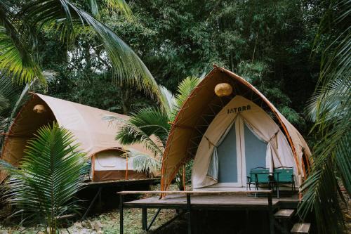 Rừng Cafe & Glamping