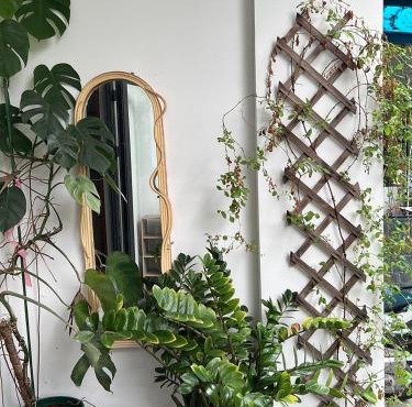 Mây Huế Homestay
