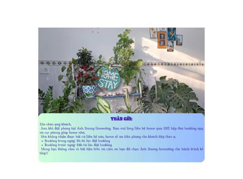Ánh Dương Homestay - Coastal stop - Just 2 mins walking to Eo Gio