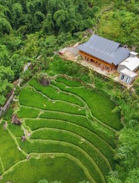 Hmong Mountain Homestay Sa Pa