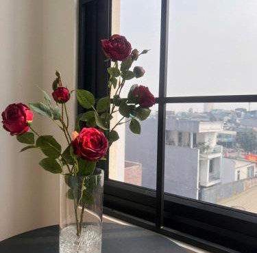 Khách sạn Solea VIỆT TRÌ
