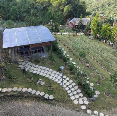 Anne's Garden