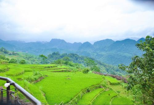 Puluong Qui E Ora